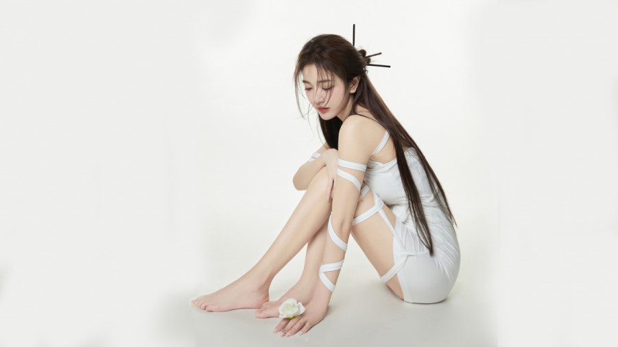 万能蜘蛛池解说