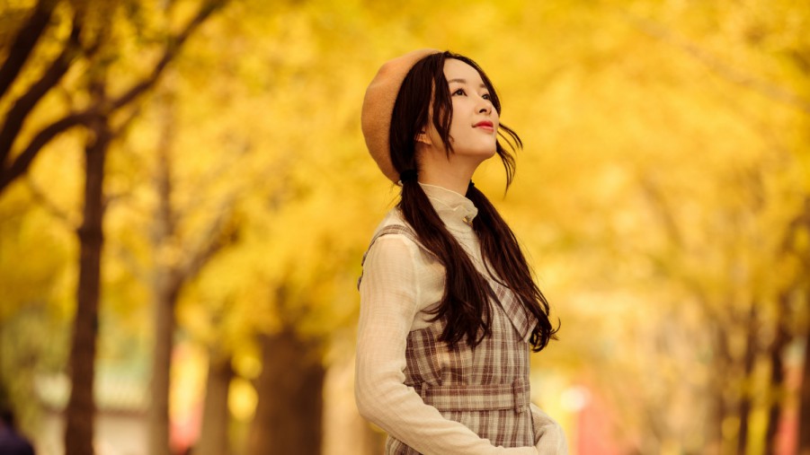 SEO和关键词的完美结合：提升你的网站排名的软文指南